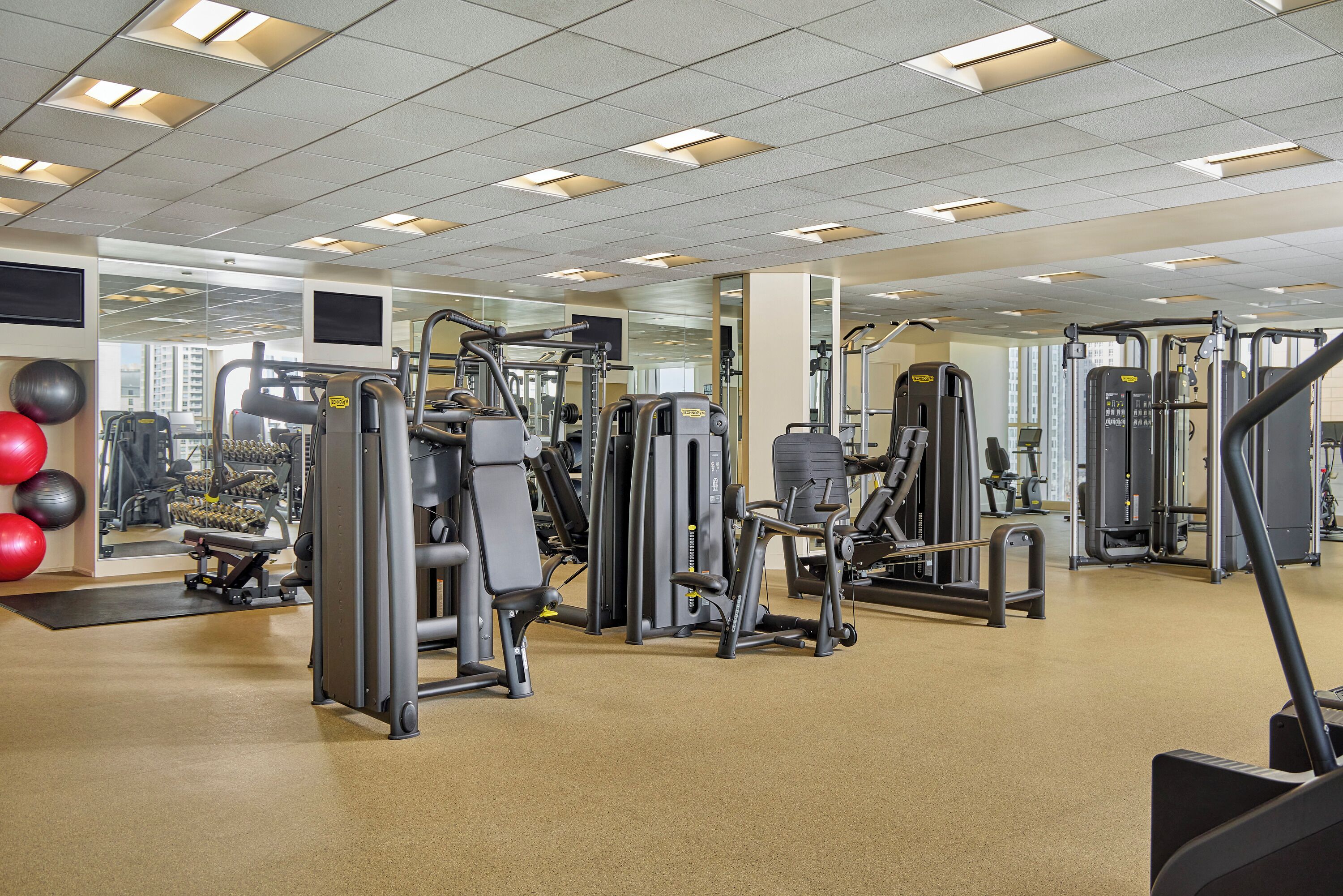 Gym