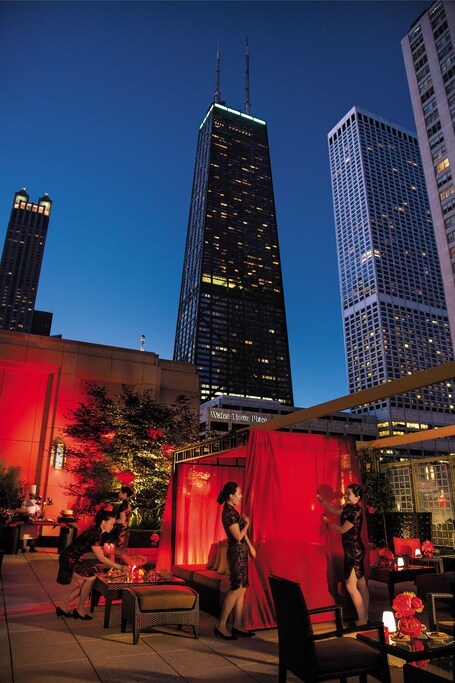 The Peninsula Chicago - Image 13