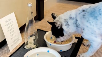 Un cane mangia da una ciotola su un vassoio, insieme a un menu e una bottiglia nelle vicinanze.