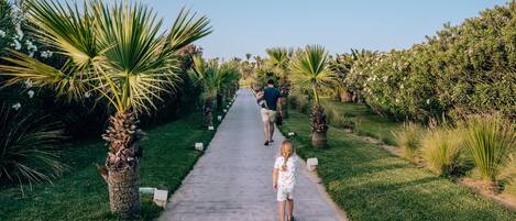 حديقة