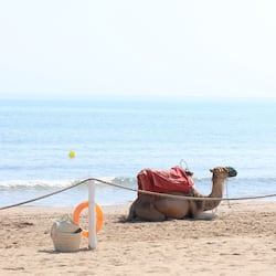 Private beach nearby, white sand, sun loungers, beach umbrellas