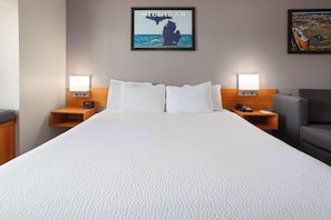 Room, 1 King Bed, Accessible, Non Smoking (Mobility) | Desk, iron/ironing board, free cribs/infant beds, free WiFi - Microtel Inn & Suites by Wyndham Ann Arbor (Ann Arbor)