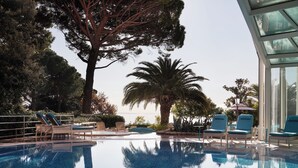 Piscina con sillas de descanso y palmeras, rodeada por una cerca y follaje.