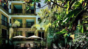 Piscina con sillones de playa y sombrillas, rodeada de exuberante vegetación y un edificio de varios pisos con balcones.