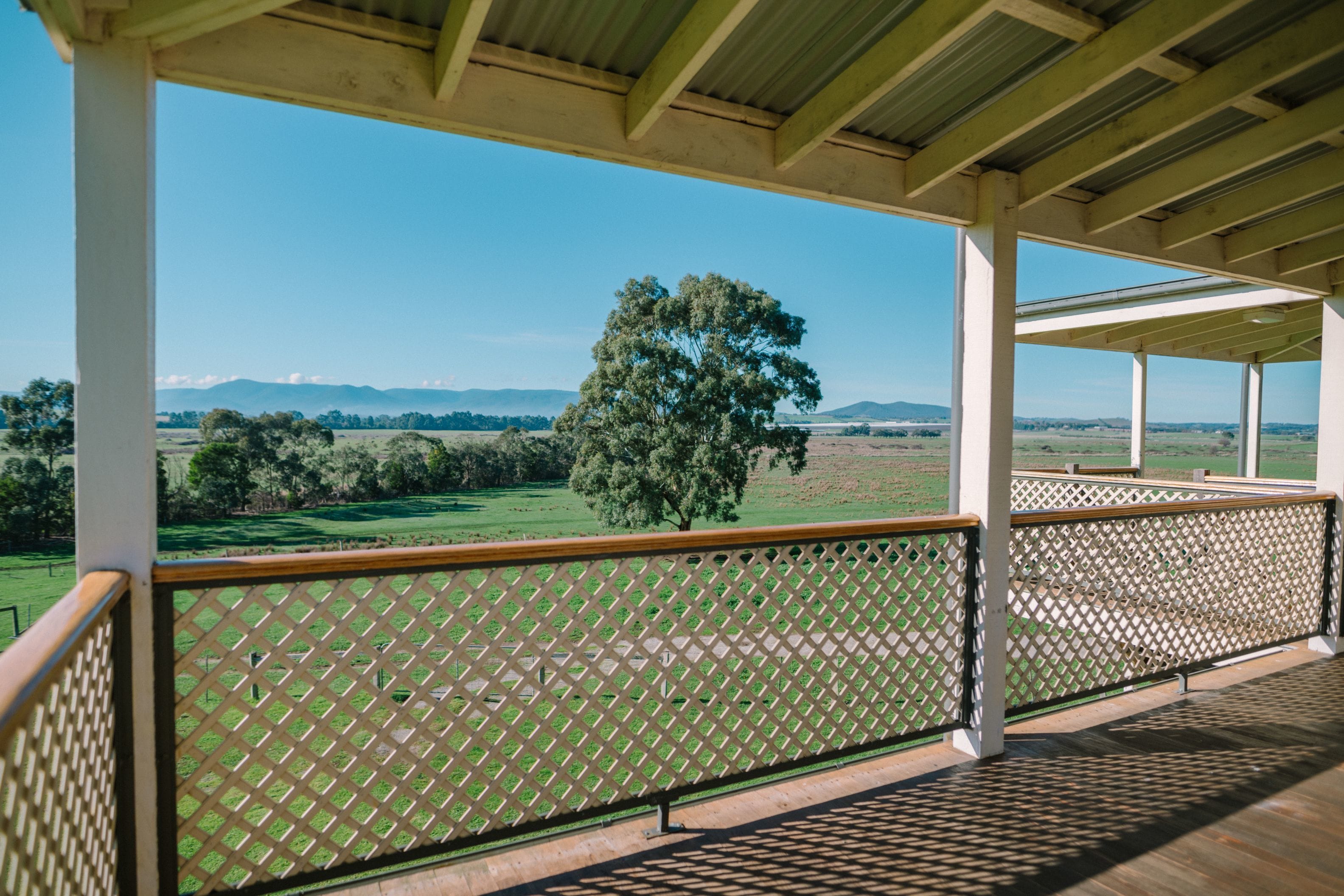 yarra suite  | view from room