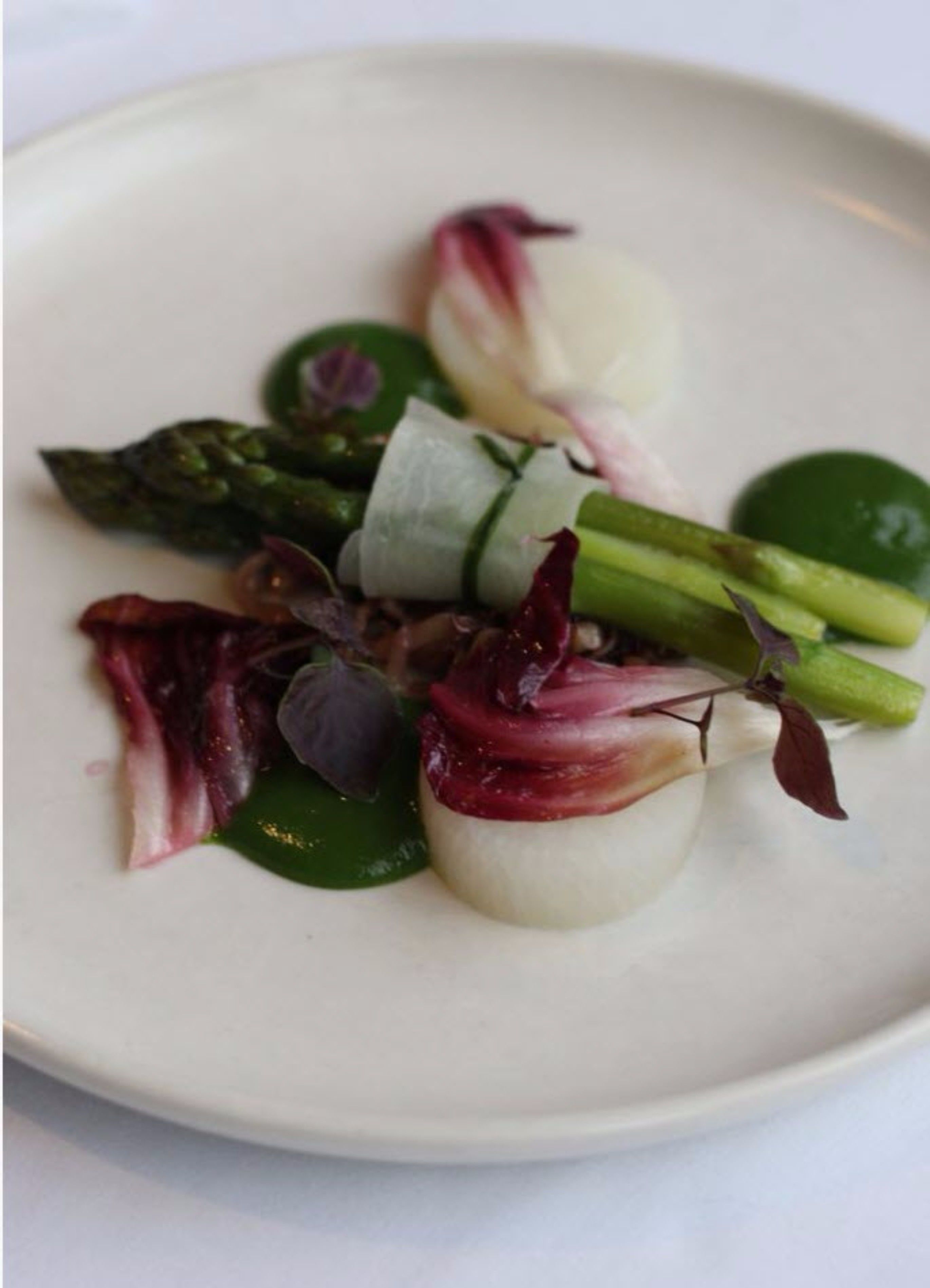 Un plato con una variedad de verduras, incluyendo espárragos, hojas verdes y hojas moradas.