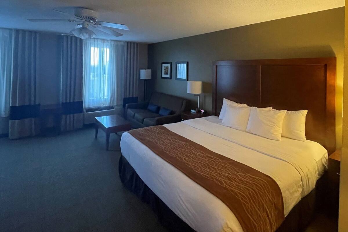 A hotel room with a bed, a desk, a chair, a sofa, a ceiling fan, and a window with curtains.