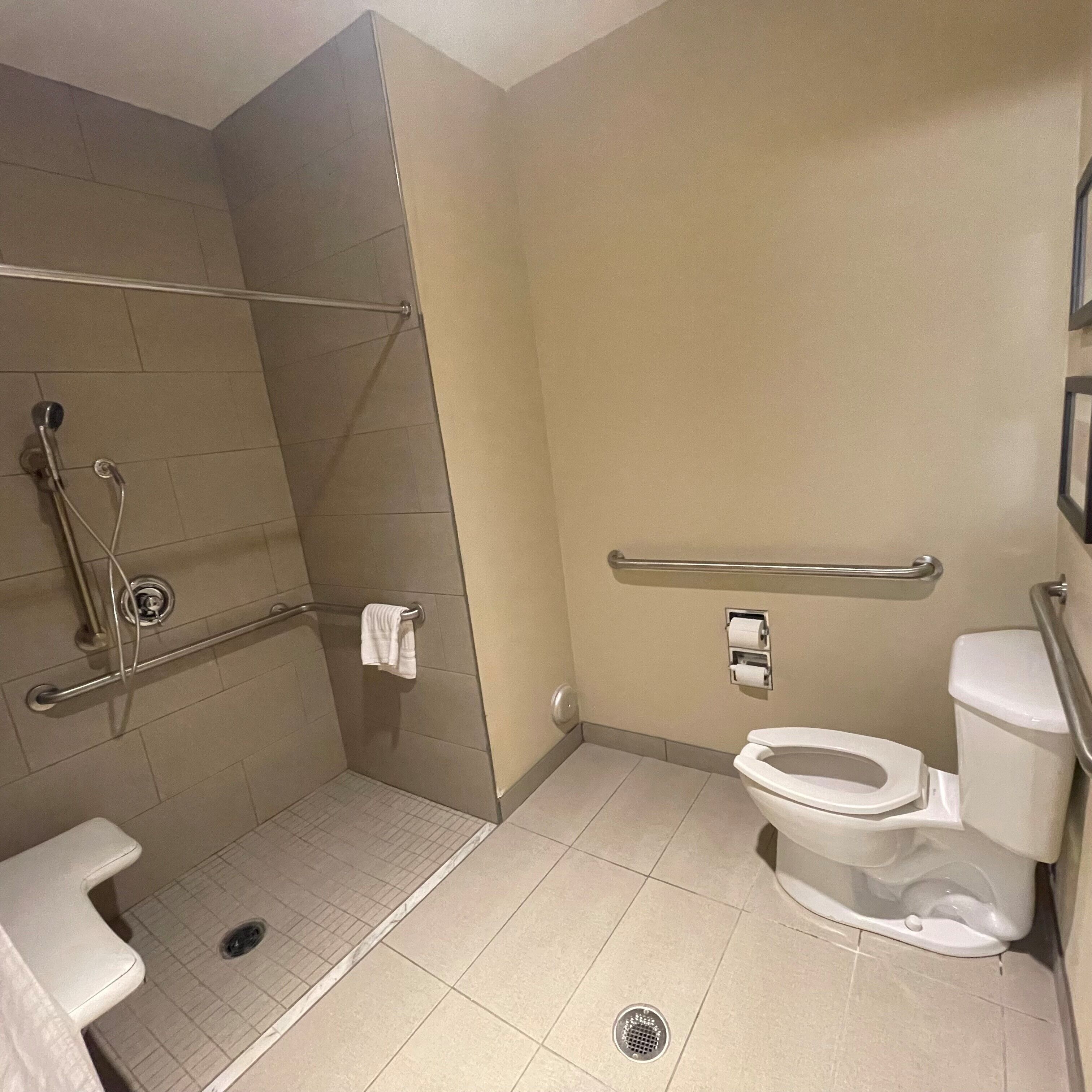 combined shower/bathtub, free toiletries, hair dryer, towels