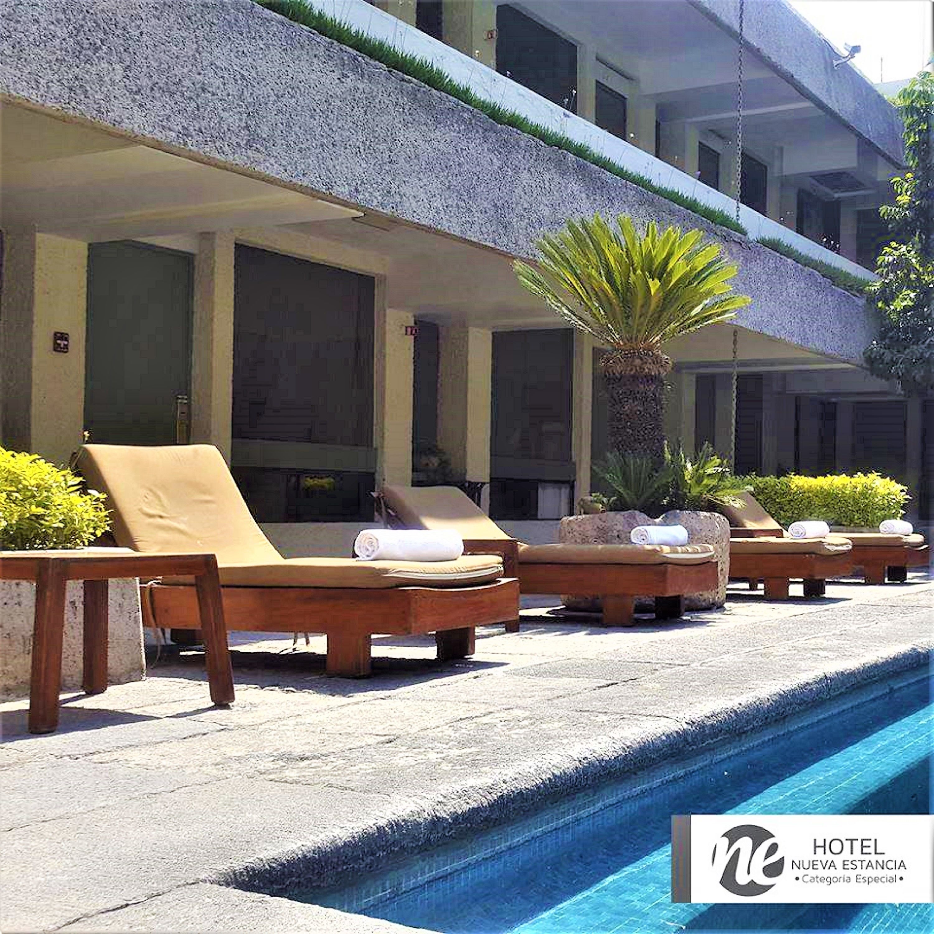 A hotel with a pool area featuring sun loungers and a palm tree.