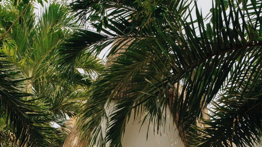 Maroma, A Belmond Hotel, Riviera Maya
