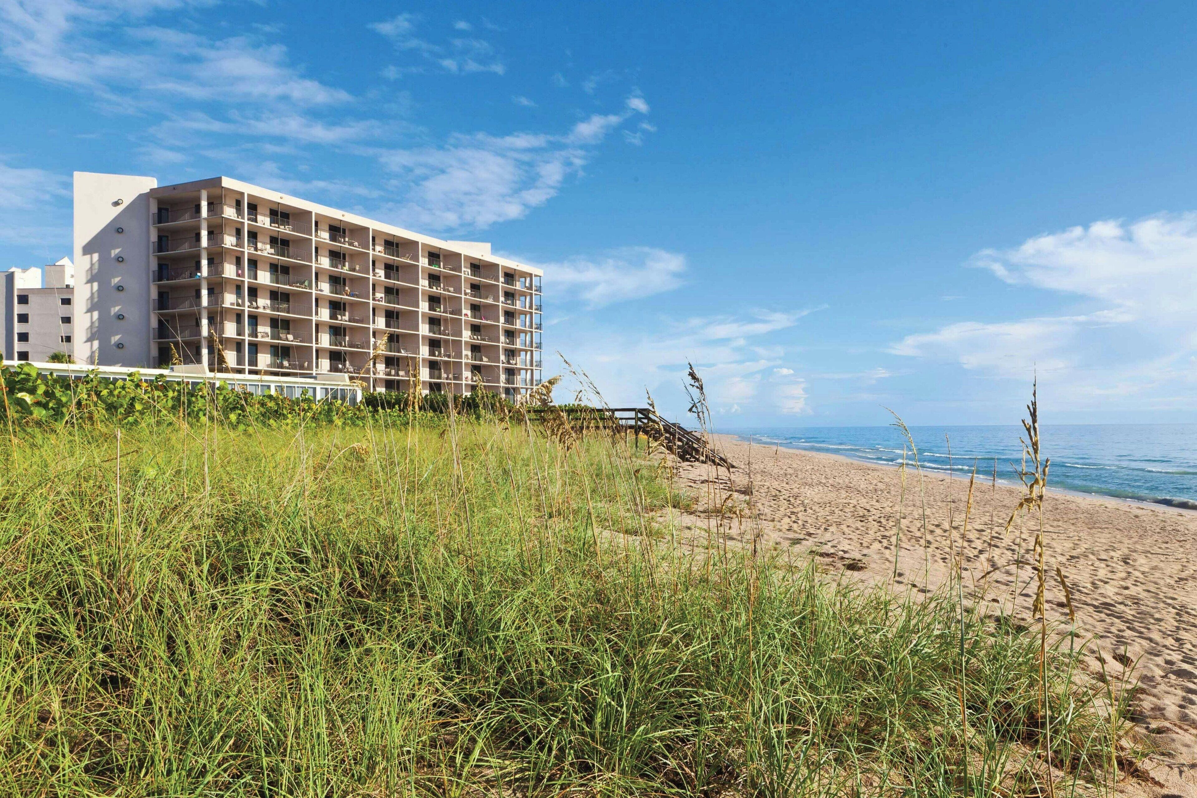 على الشاطئ، كراسي للتشمس، مناشف للشاطئ