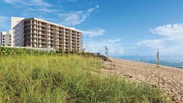 على الشاطئ، كراسي للتشمس، مناشف للشاطئ