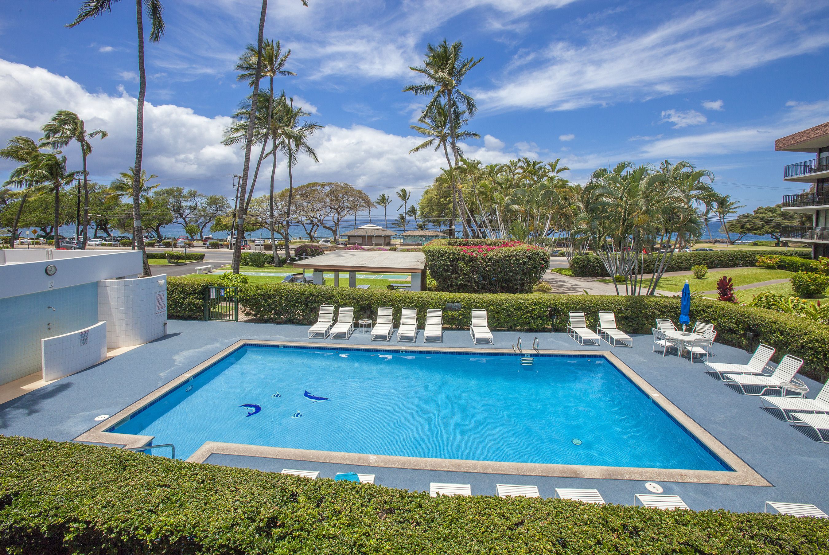 Ein rechteckiger Pool mit Liegestühlen und Palmen, umgeben von einem gepflegten Garten und Blick auf den Ozean.