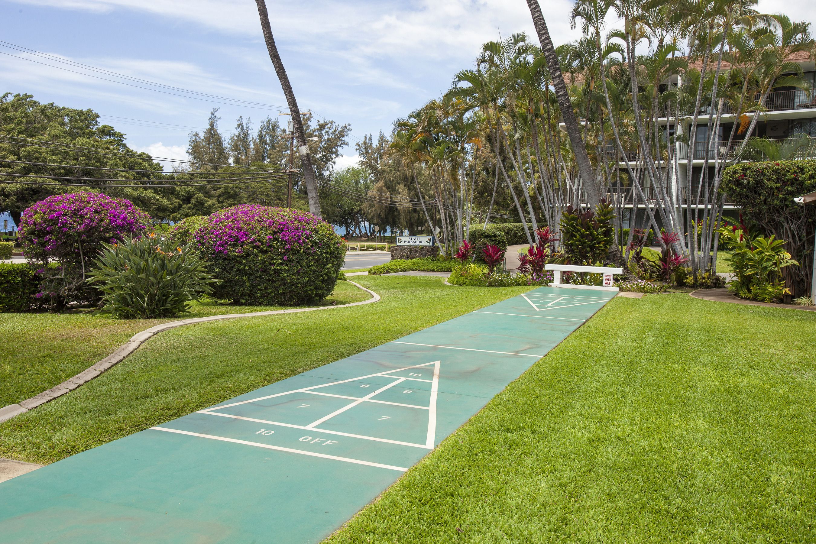 Un campo da shuffleboard verde, circondato da vegetazione lussureggiante e palme.
