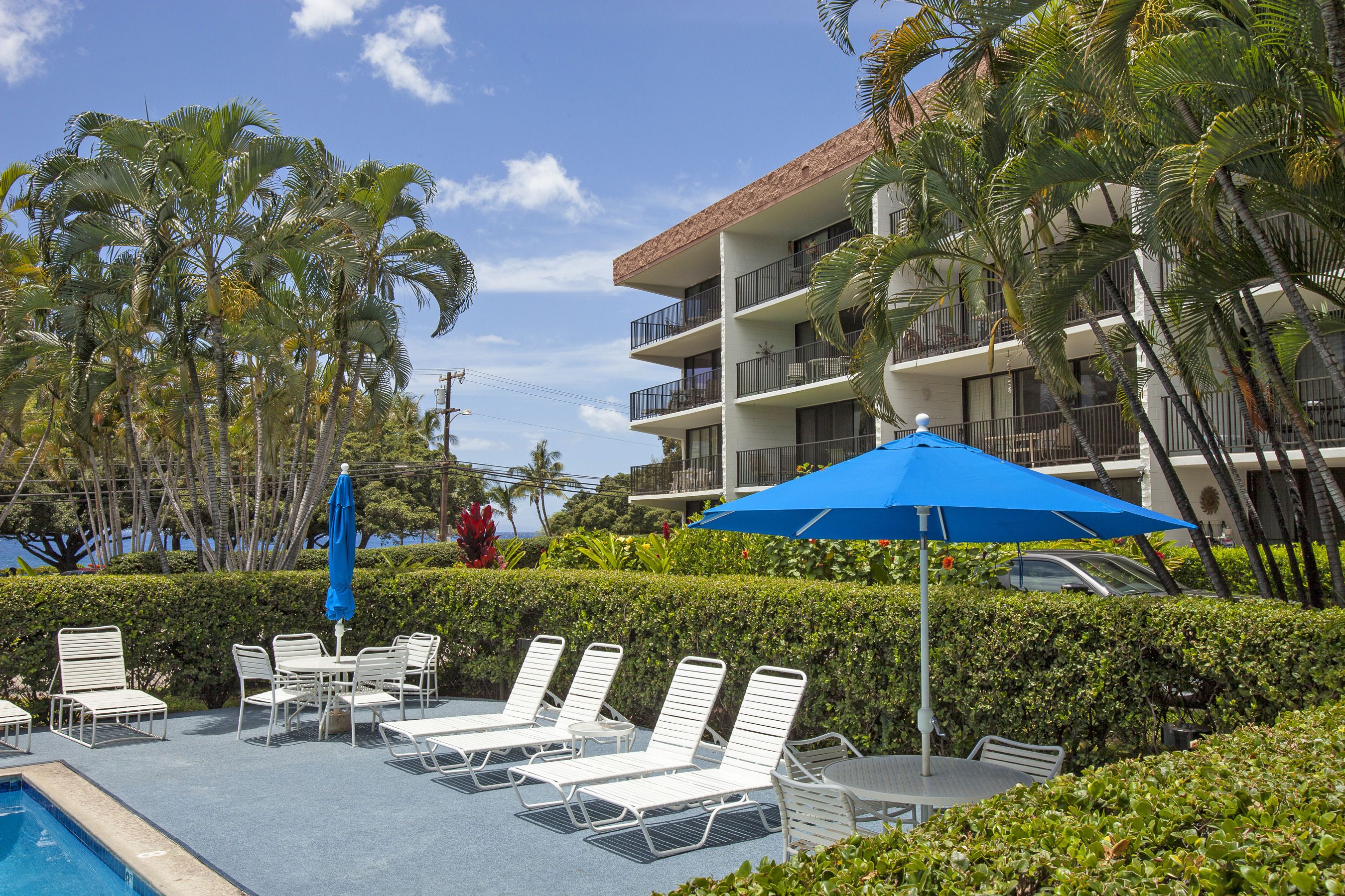 A pool area with lounge chairs and umbrellas, surrounded by palm trees and a building with balconies.