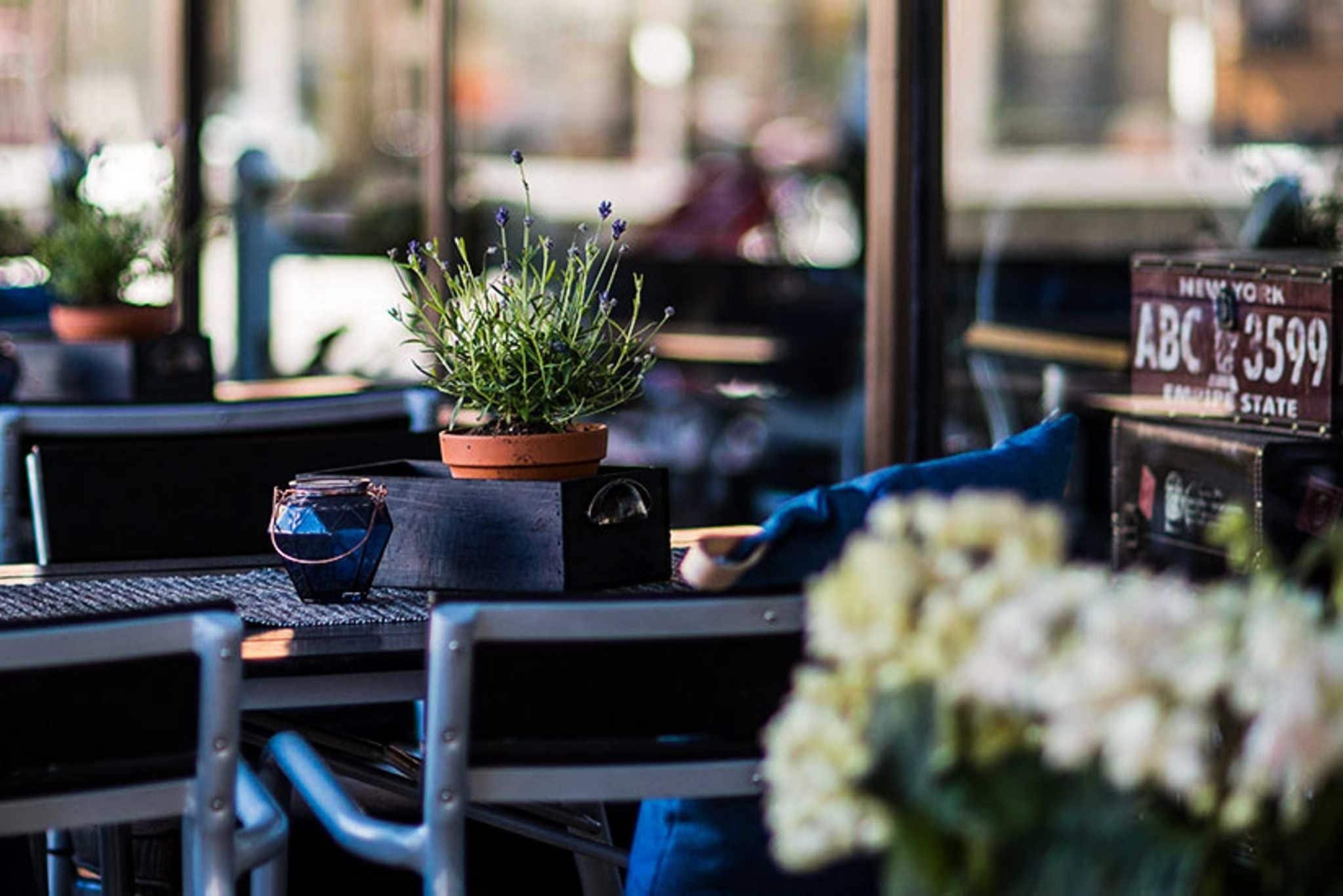 朝食、ランチ、ディナーに営業