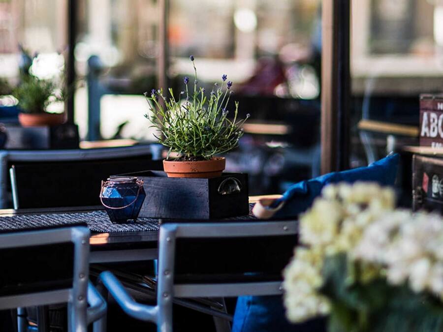 A restaurant interior with a potted plant on a table, a sign with a phone number, and a window with reflections.