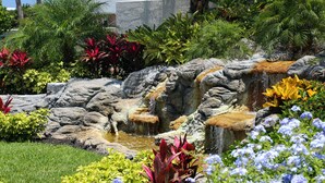 Un jardin agrémenté d’une petite cascade, de différentes plantes et d’une pelouse.