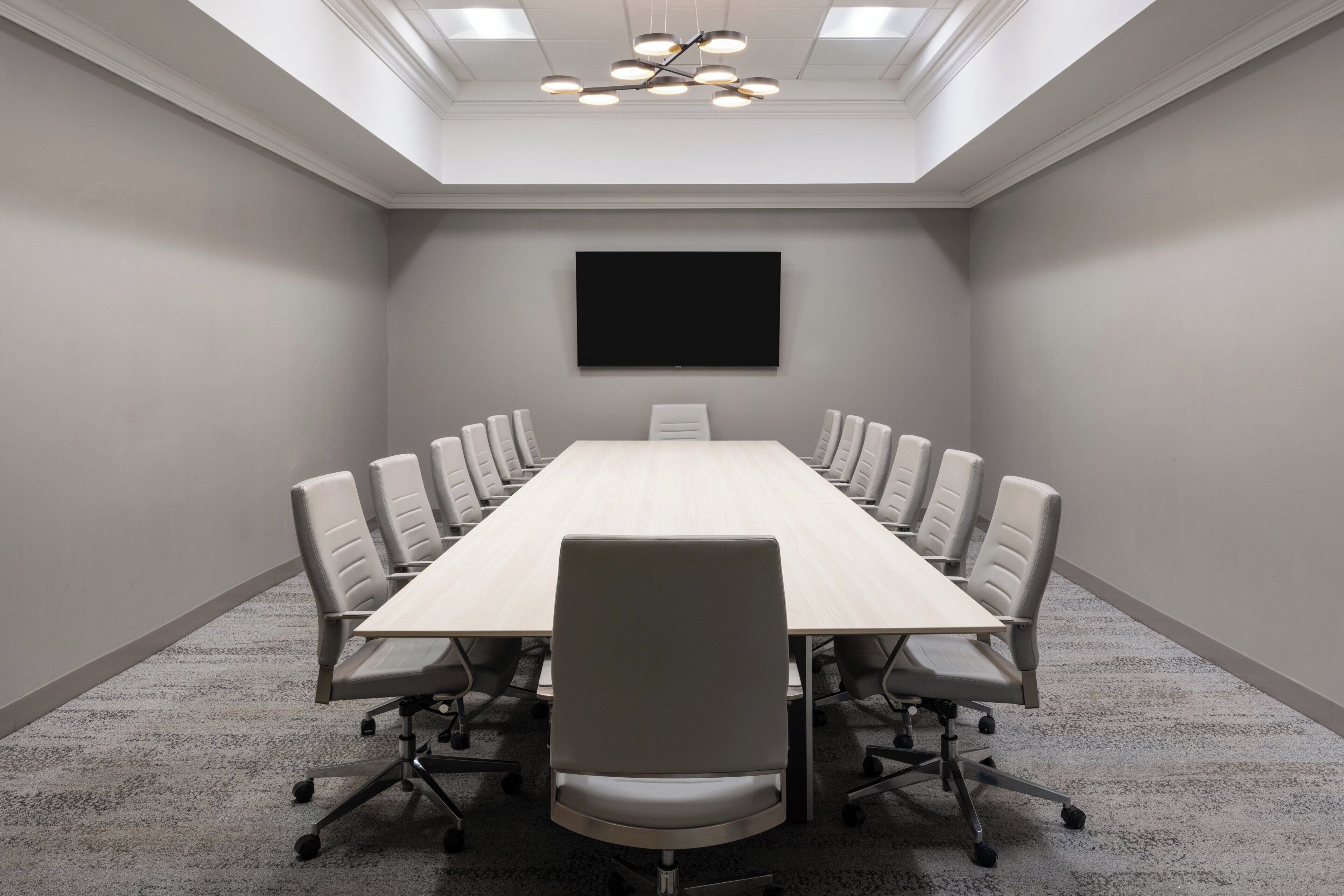 A conference room with a long table, white chairs, a flat-screen TV, and a skylight ceiling.