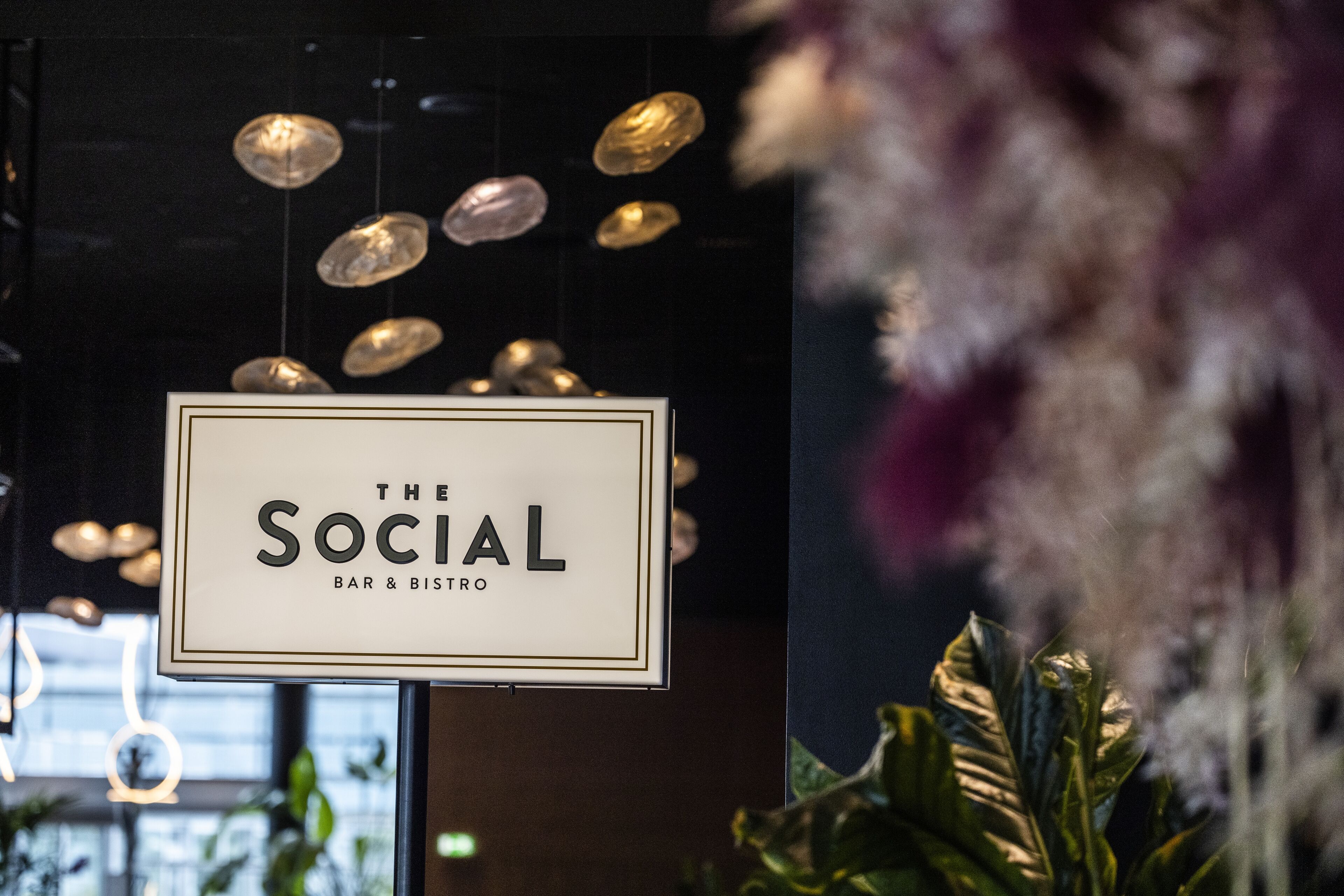 breakfast, lunch, dinner served; international cuisine