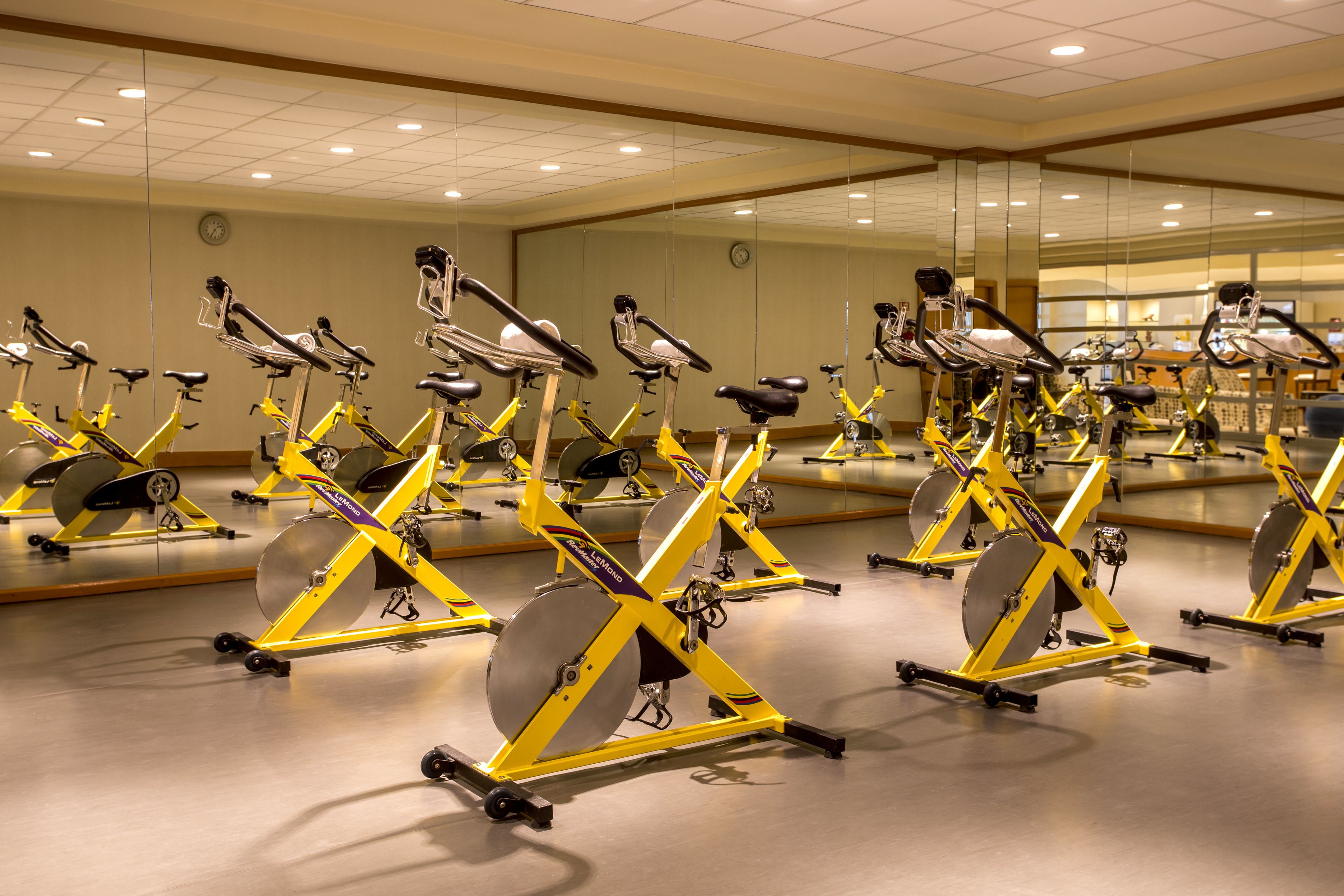 A gym with multiple stationary bikes arranged in rows.