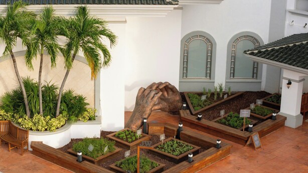 A garden with raised beds, palm trees, and a large sculpture. - JW Marriott Cancun Resort & Spa (Cancun)