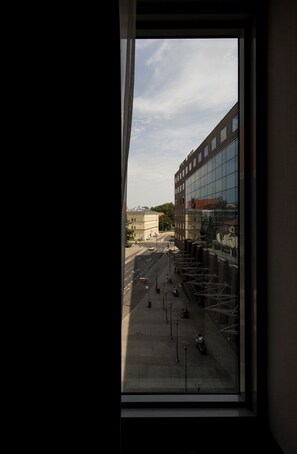 Classic Room, 1 Double Bed, city view | View from room