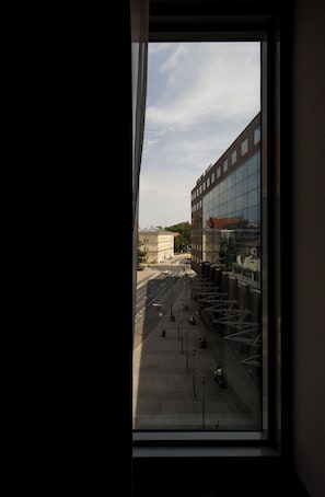 Classic Room, 1 Double Bed, city view | View from room