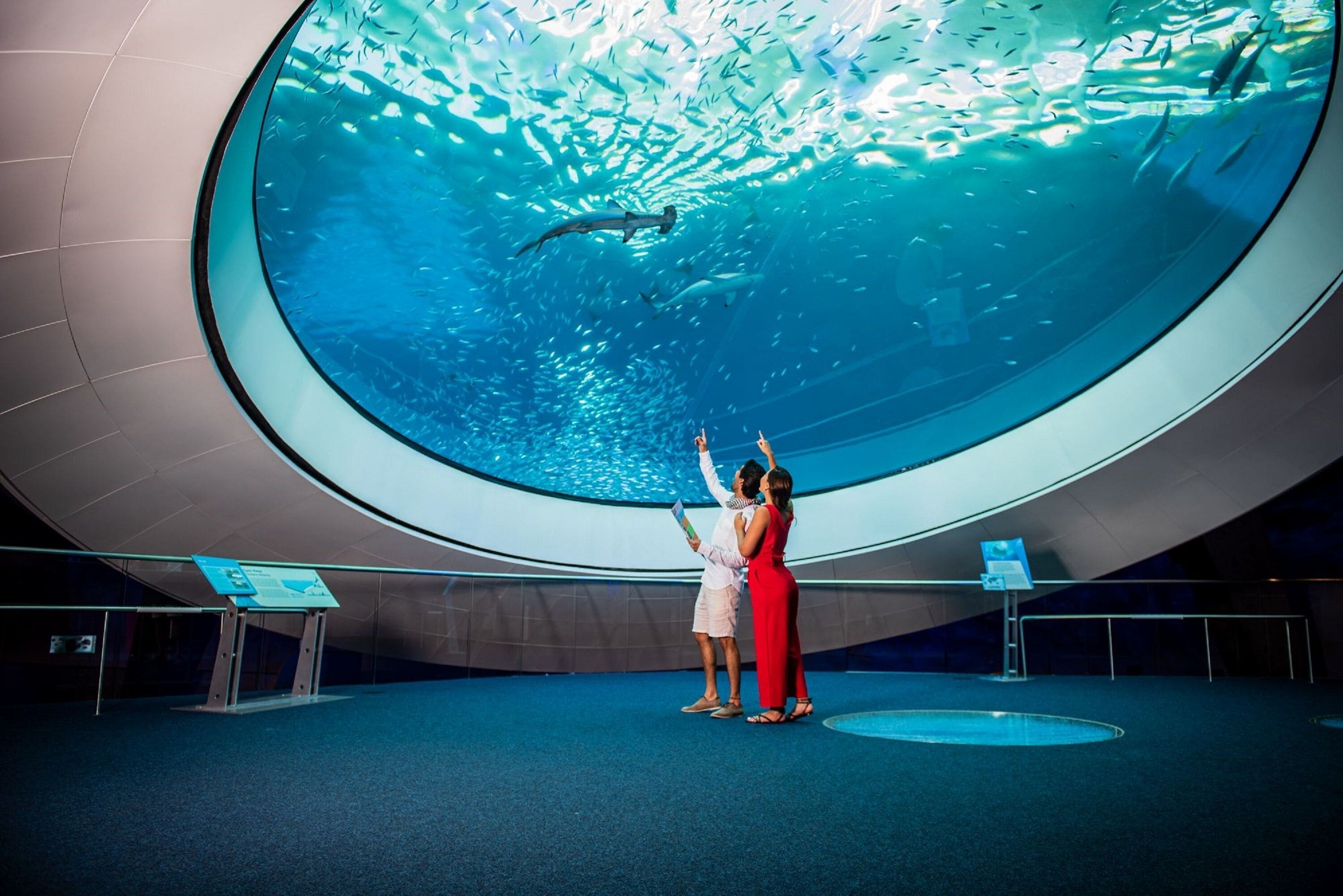 Foto - The Ritz-Carlton, South Beach