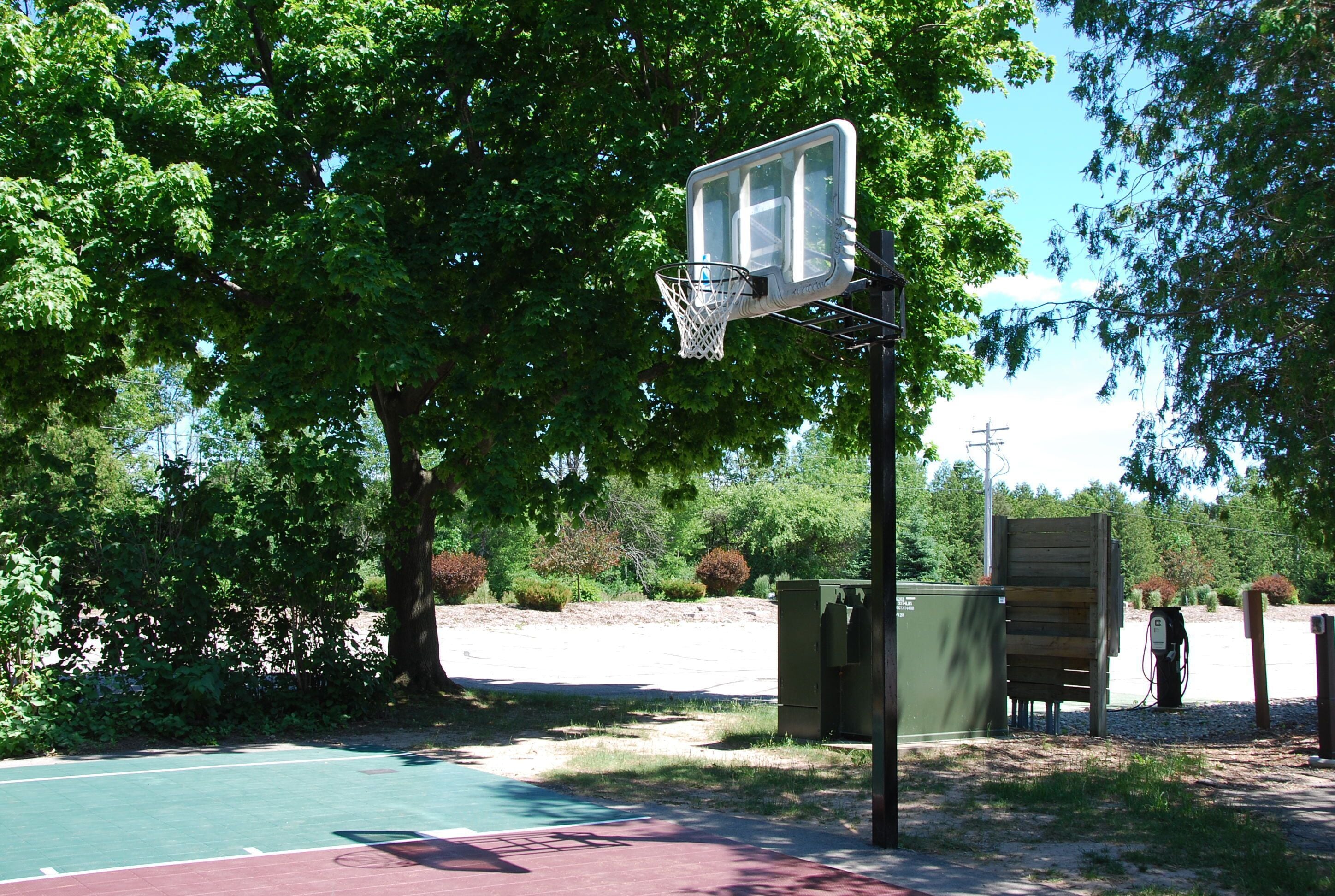 An outdoor basketball court with a hoop, surrounded by trees and a small shed.