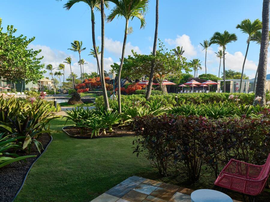 A tropical garden with palm trees, a pool, and outdoor seating.