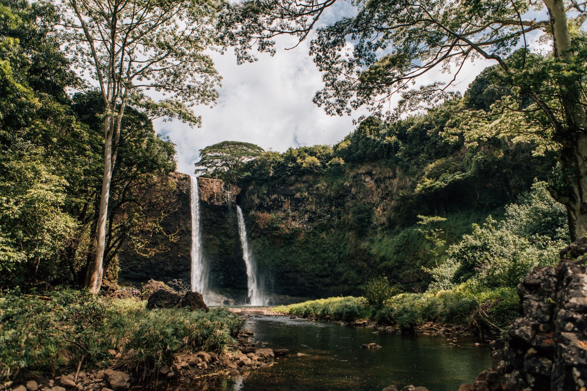 Una cascada en un entorno boscoso y exuberante.