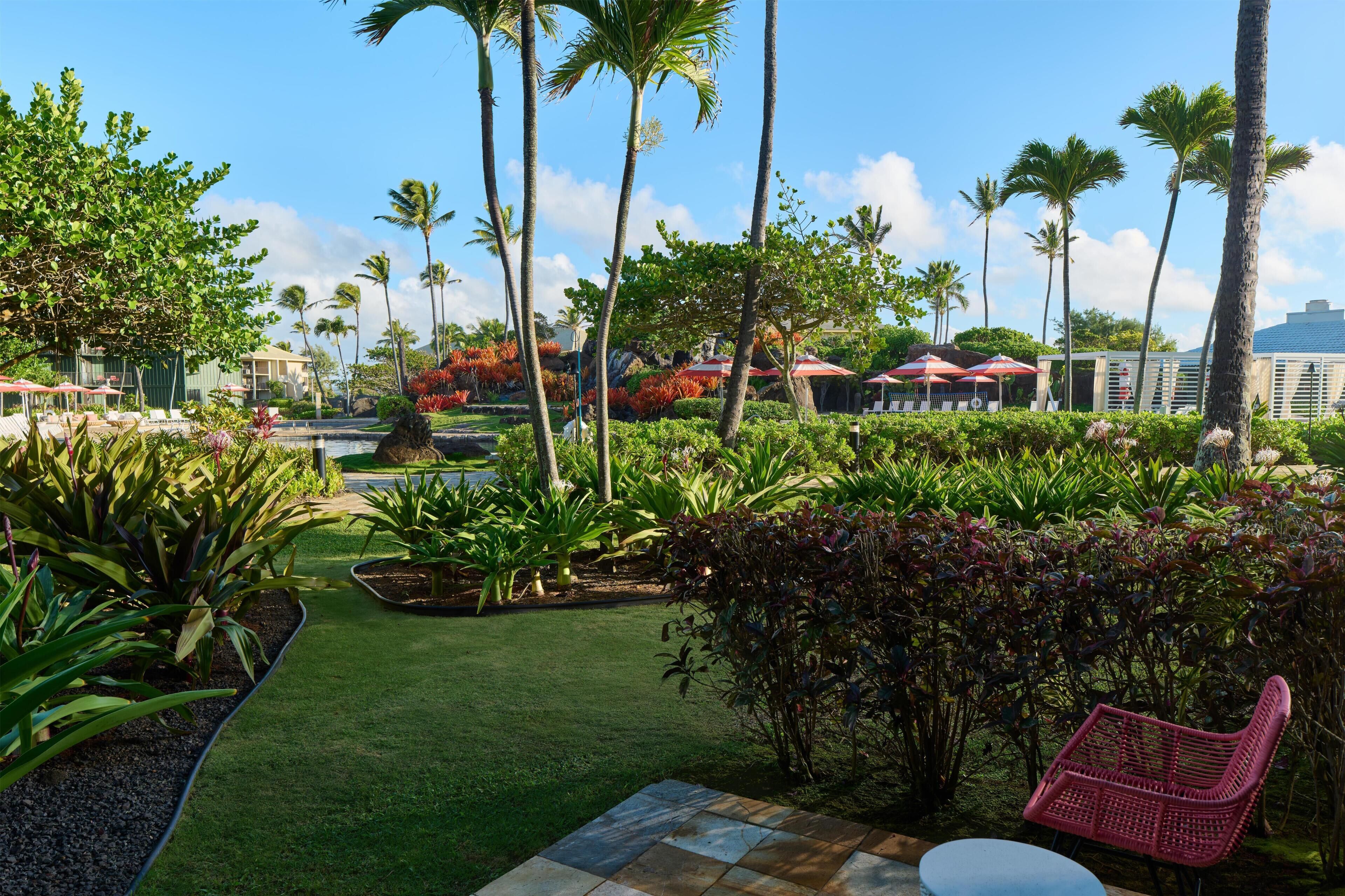 Un jardín tropical con palmeras, una piscina y mobiliario de exterior.