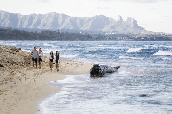 Plage, serviettes de plage, massages sur la plage
