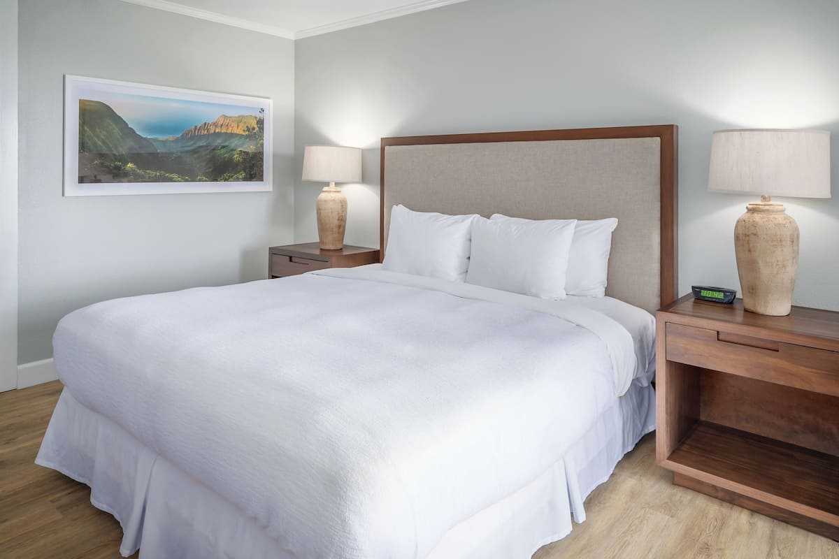 Premium Room, 1 King Bed, Garden View | Down comforters, in-room safe, desk, laptop workspace
