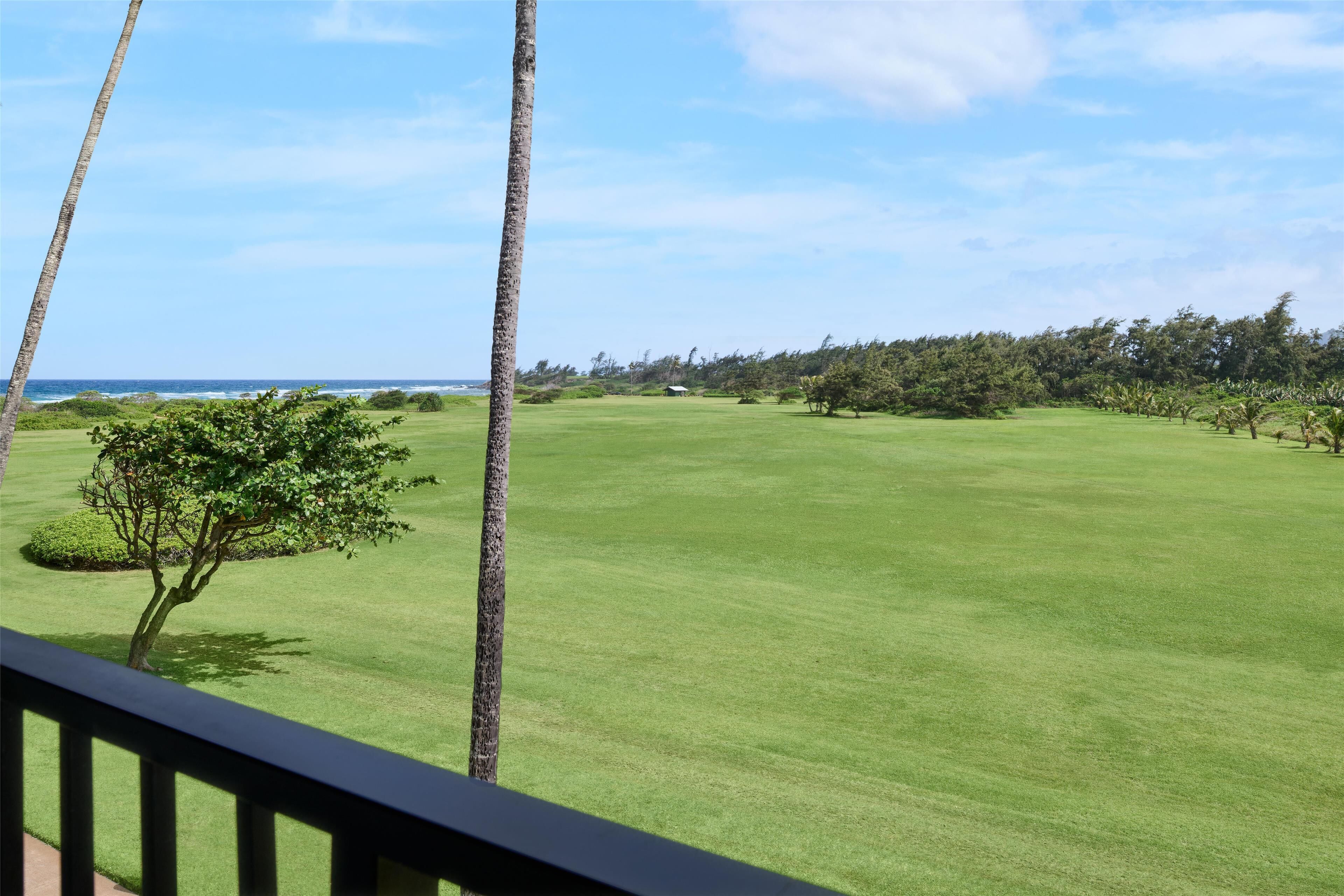 Un campo de golf con vista despejada al océano, un césped bien cuidado y algunos árboles.