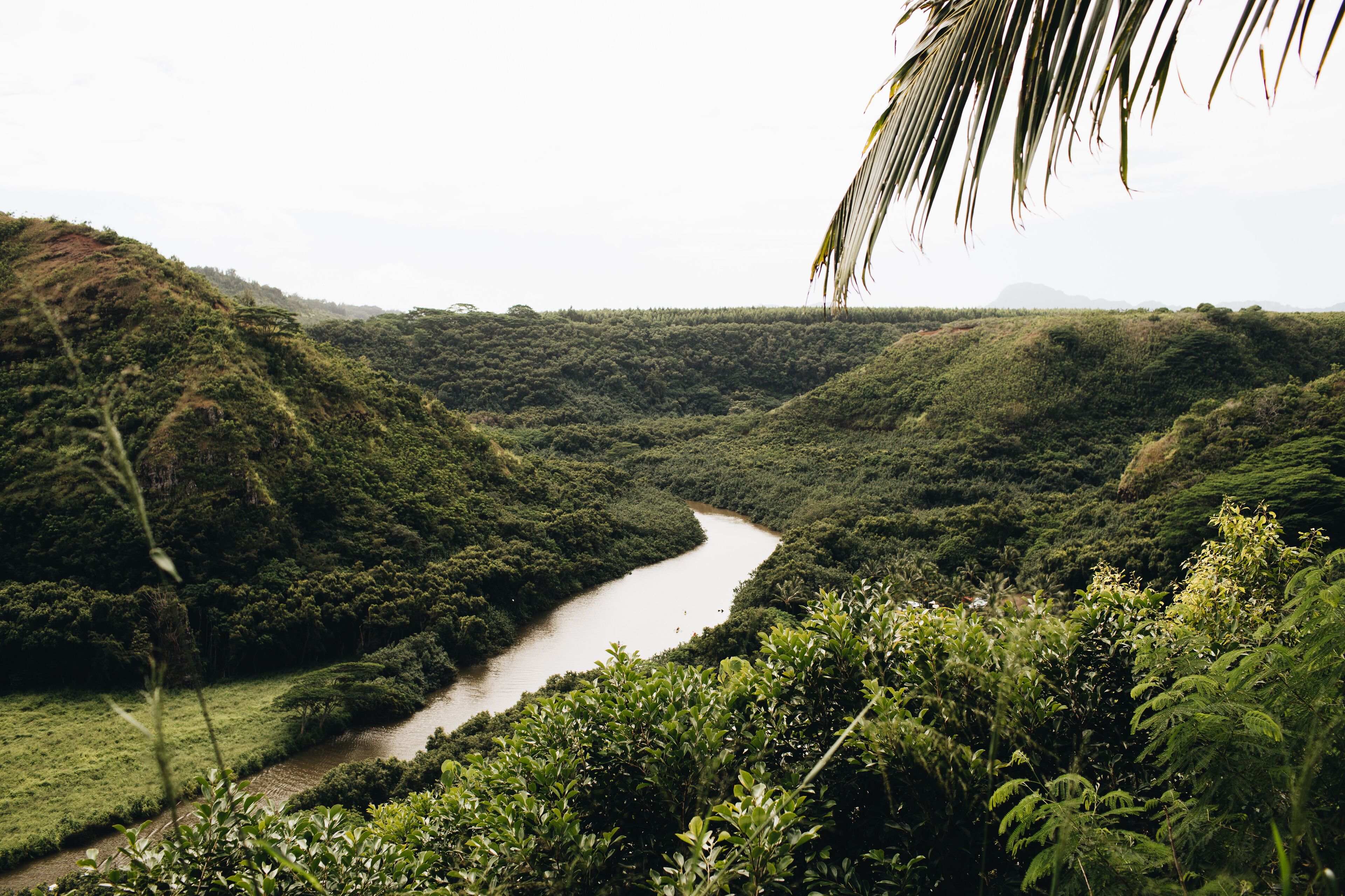 A river winding through a lush, green valley with dense vegetation and hills in the background.