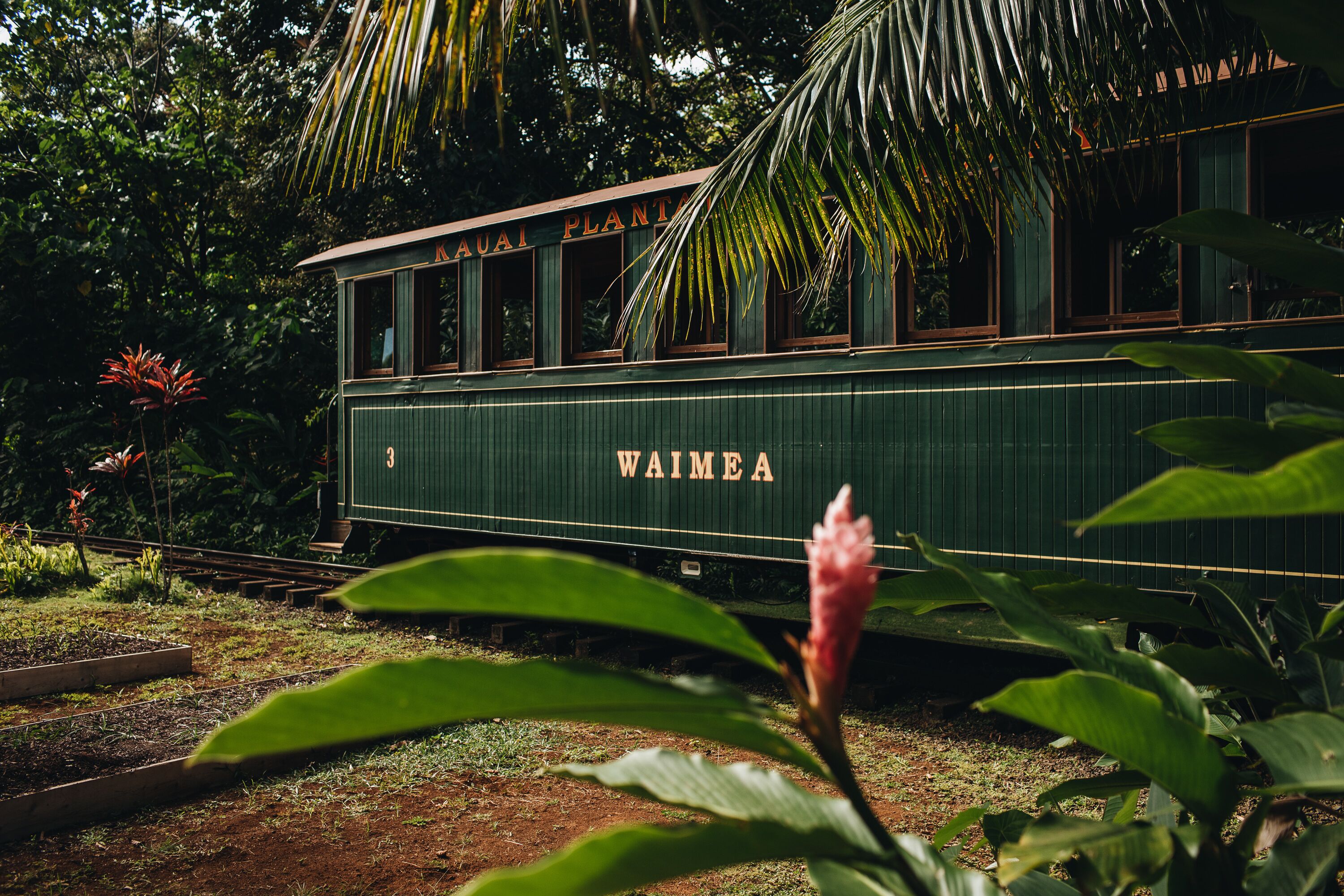 Een groene treinwagon met de tekst 'WAIMEA' erop, omringd door weelderige begroeiing en planten.