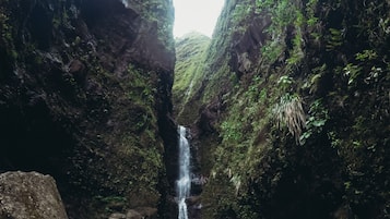 Un cañón estrecho con cascada y terreno rocoso.