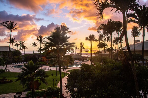 Garden - OUTRIGGER Kauaʻi Beach Resort & Spa (Lihue)