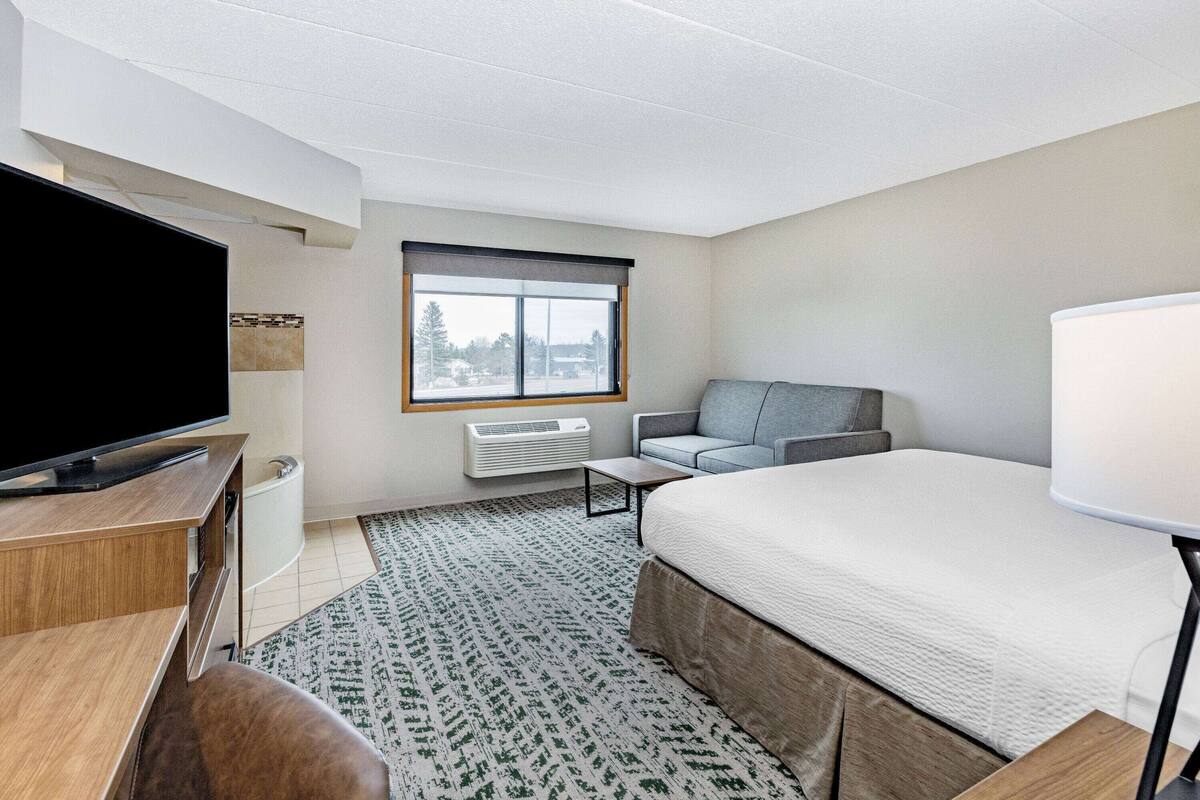 Een hotelkamer met een bed, een televisie, een bank, een bureau en een raam met uitzicht op bomen.