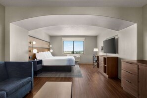 A hotel room with a large bed, a TV, a desk, and a view of the outdoors.