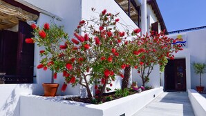 A white building with a staircase leading to the entrance, surrounded by potted plants and a clear blue sky. - Kalidon Beach Hotel (Samos)