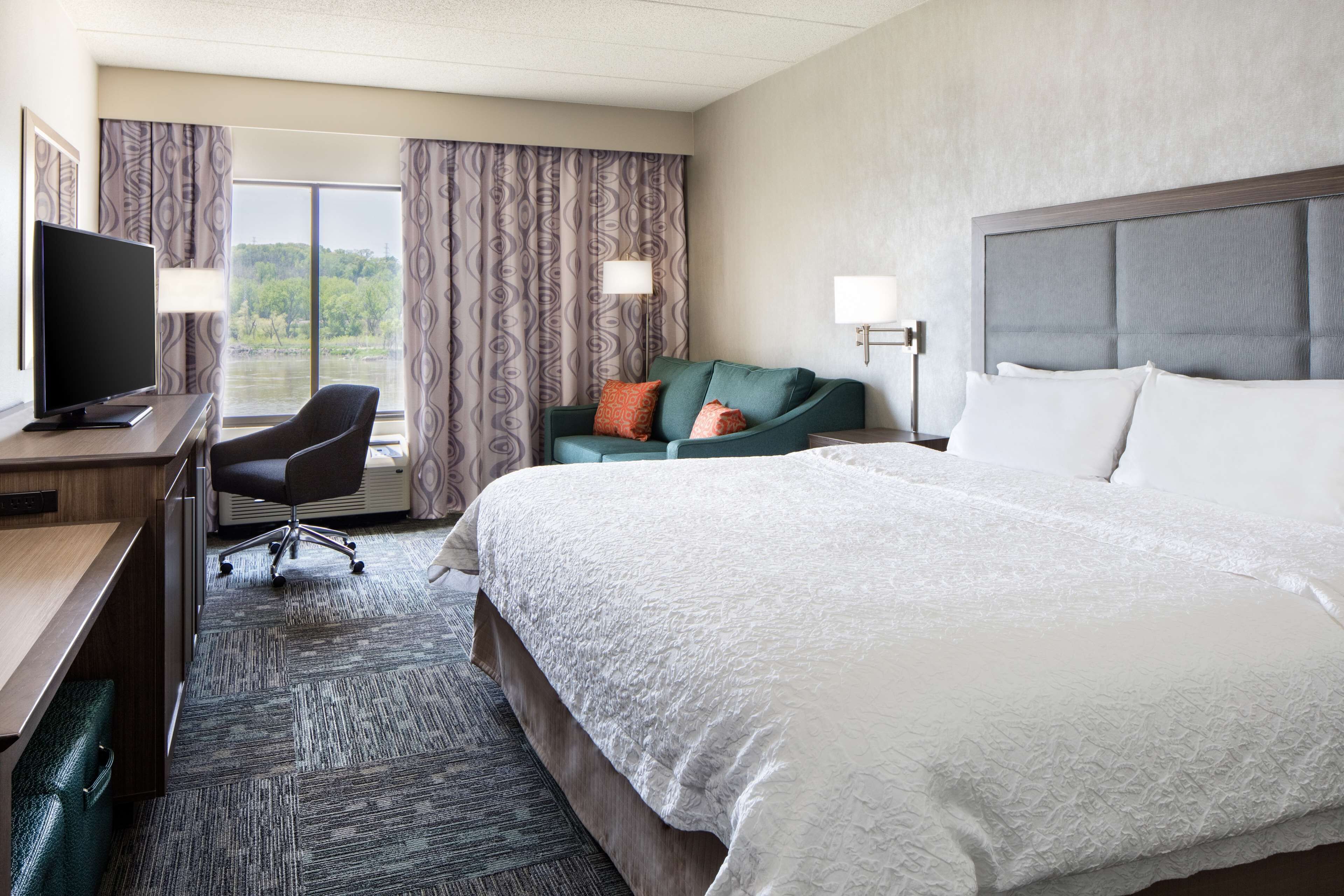 King study sofabed non smoking | Laptop workspace, iron/ironing board, free cribs/infant beds