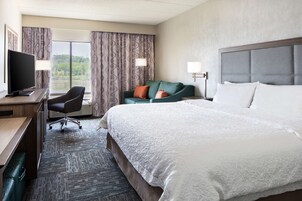 King study sofabed non smoking | Laptop workspace, iron/ironing board, free cribs/infant beds