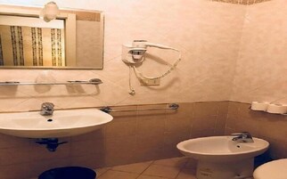 A bathroom with a sink, bidet, and mirror.