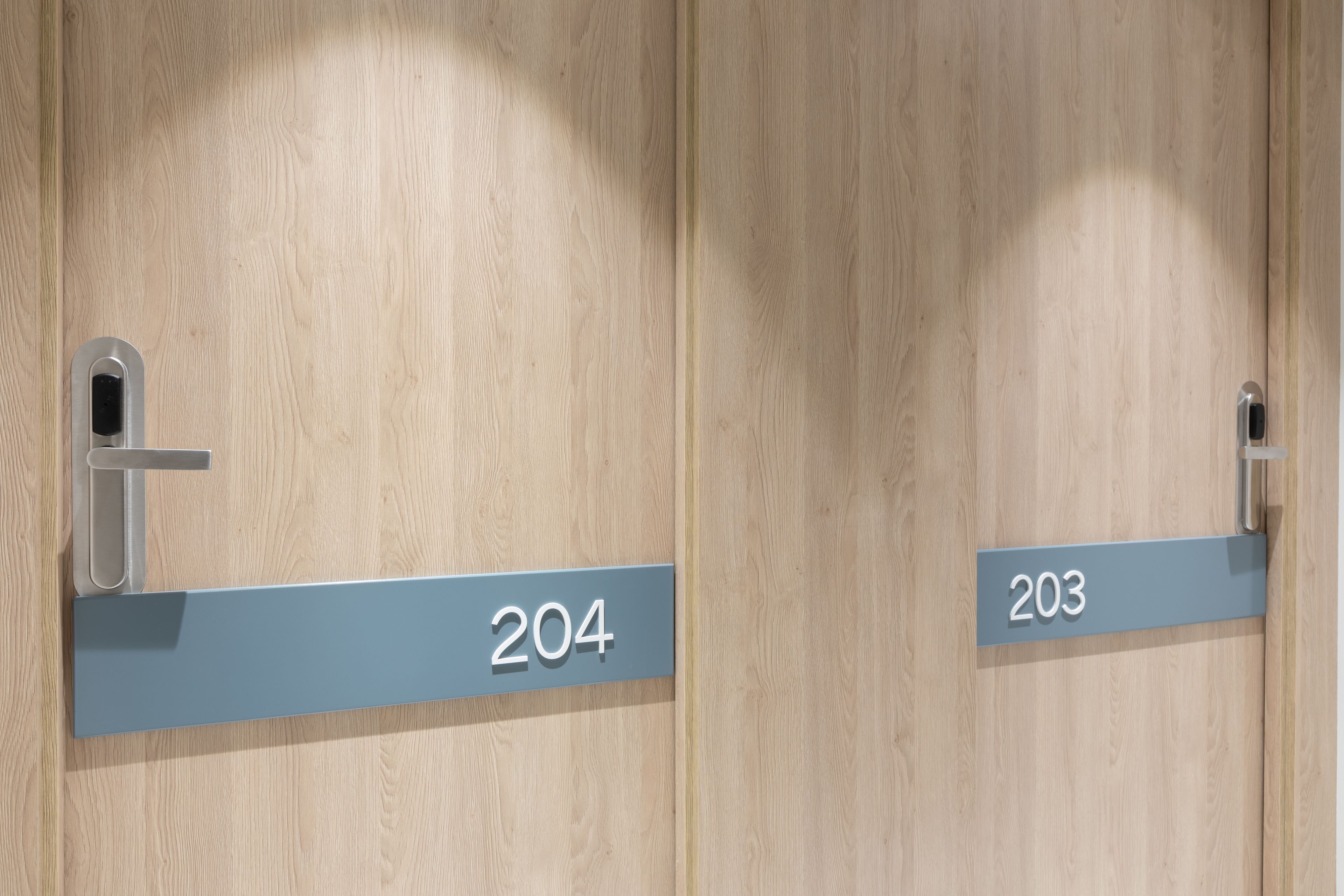 Deux portes portant les numéros 204 et 203, qui indiquent les numéros des pièces.
