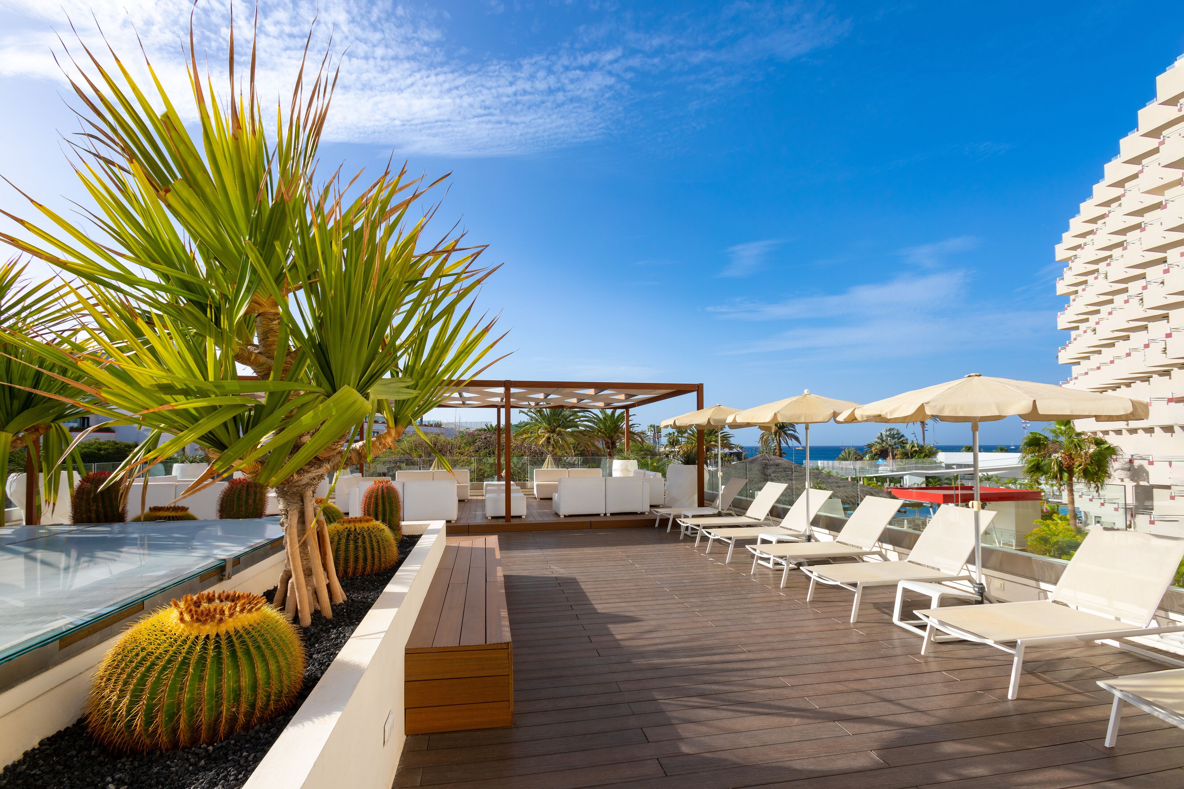 A rooftop lounge area with sun loungers, a glass table, and cacti.