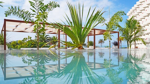 Un espace piscine où se reflètent clairement les palmiers, avec une structure de bâtiment moderne.