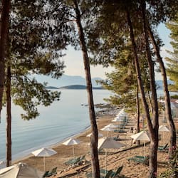 Sulla spiaggia, lettini da mare, ombrelloni, teli da spiaggia